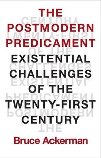 bokomslag The Postmodern Predicament