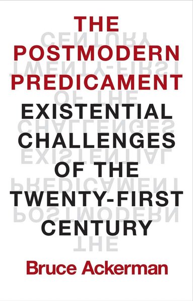 bokomslag Postmodern Predicament