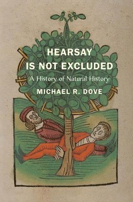Hearsay Is Not Excluded 1