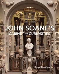 bokomslag John Soane's Cabinet of Curiosities