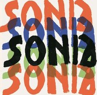 bokomslag Sonia Delaunay