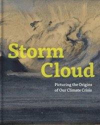 bokomslag Storm Cloud