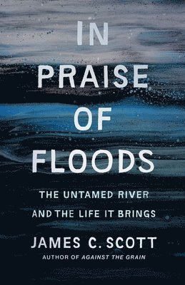 In Praise of Floods 1