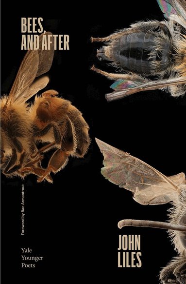 John Liles - Bees, and After, Inbunden