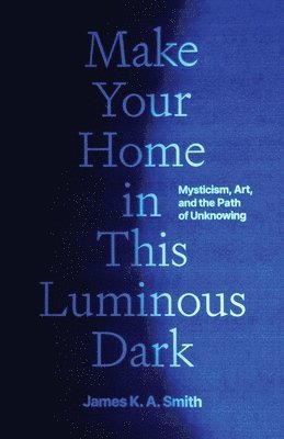 bokomslag Make Your Home in This Luminous Dark