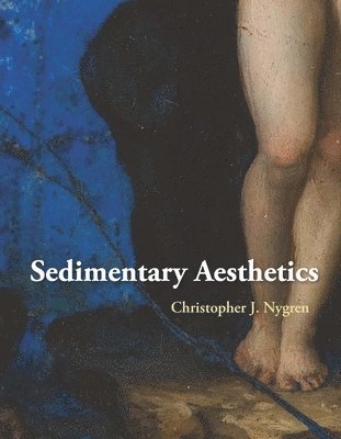 bokomslag Sedimentary Aesthetics