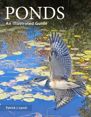 Patrick J. Lynch - Ponds, Häftad