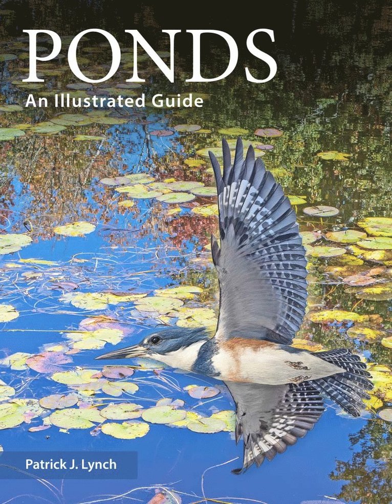 Patrick J. Lynch, Patrick J Lynch - Ponds, Häftad