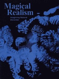bokomslag Magical Realism