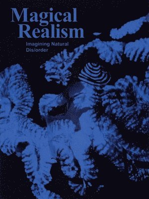 bokomslag Magical Realism