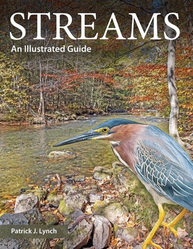 Patrick J. Lynch - Streams, Häftad