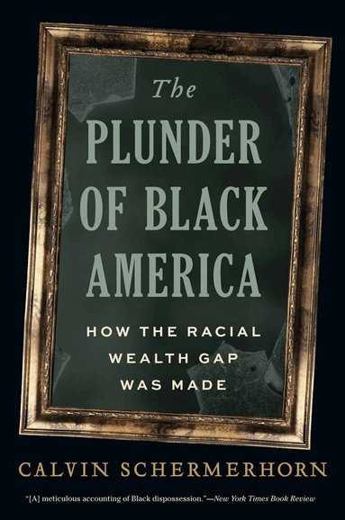 Calvin Schermerhorn - Plunder of Black America, Häftad