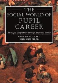 bokomslag The Social World of Pupil Career
