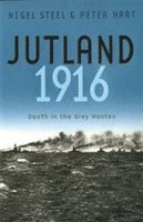 bokomslag Jutland, 1916