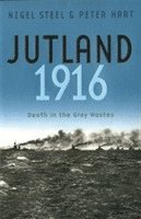 Nigel Steel, Peter Hart - Jutland, 1916, Häftad