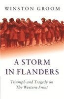Winston Groom - Storm in Flanders, Häftad