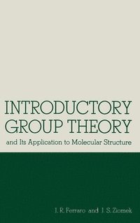 bokomslag Intro Group