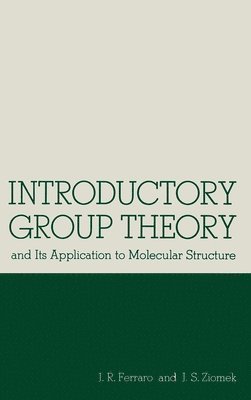 bokomslag Intro Group