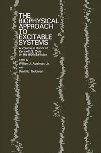 bokomslag The Biophysical Approach to Excitable Systems