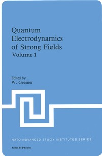 bokomslag Quantum Electrodynamics of Strong Fields