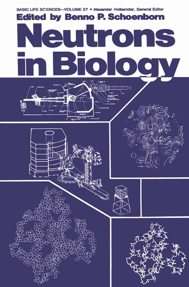 Benno P. Schoenborn - Neutrons in Biology, Inbunden