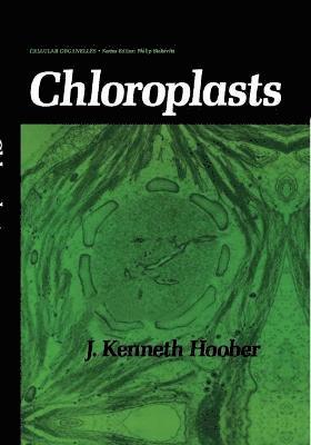 Chloroplasts