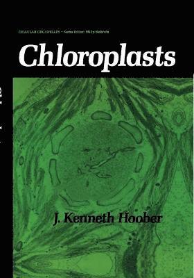 Chloroplasts 1