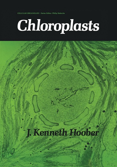 bokomslag Chloroplasts