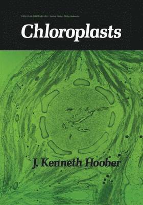 Chloroplasts 1