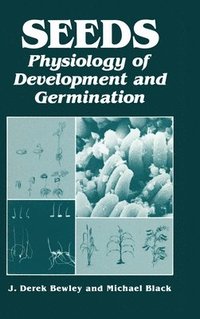 bokomslag Seeds: Physiology of Development and Germination