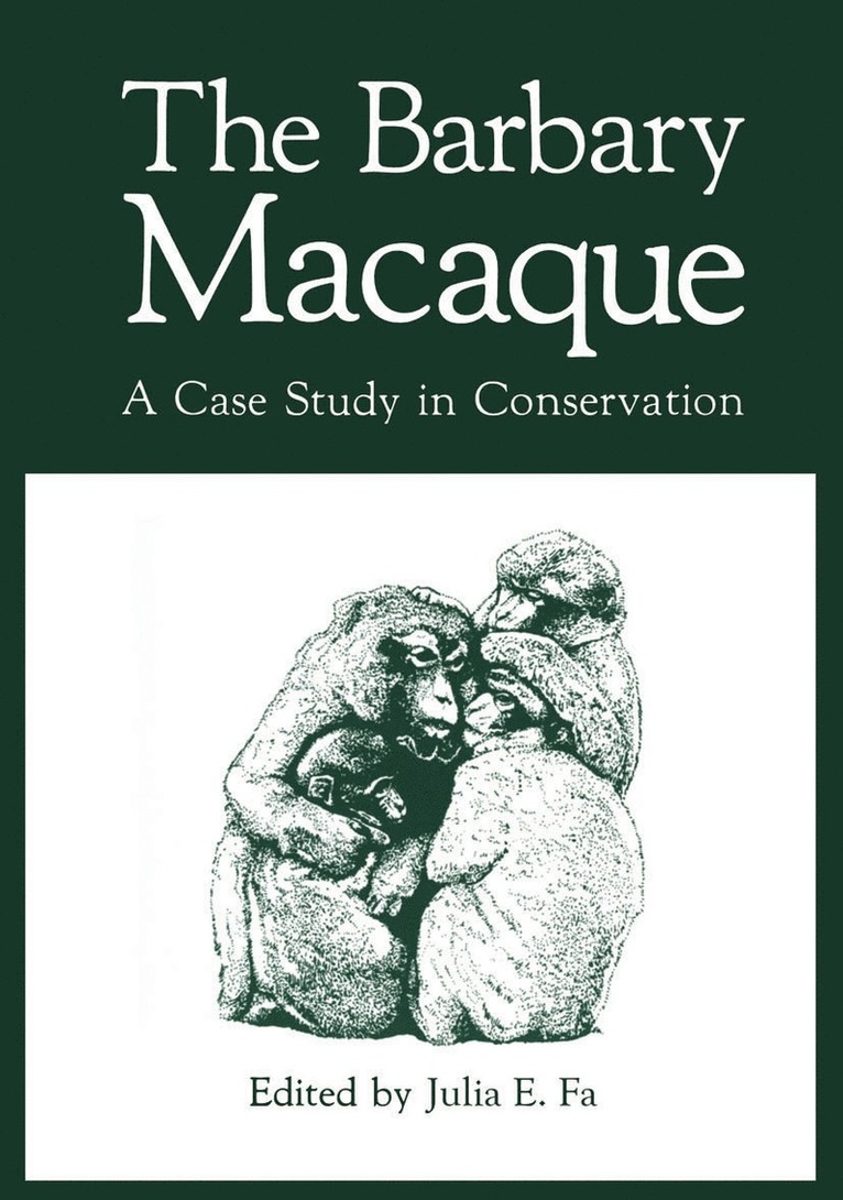 Barbary Macaque
