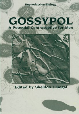 bokomslag Gossypol: A Potential Contraceptive for Men
