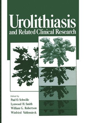 Urolithiasis and Related Clinical Research 1