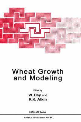 W. Day, R.K. Atkin, R. K. Atkin - Wheat Growth and Modelling, Inbunden