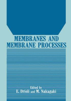 Membranes and Membrane Processes 1