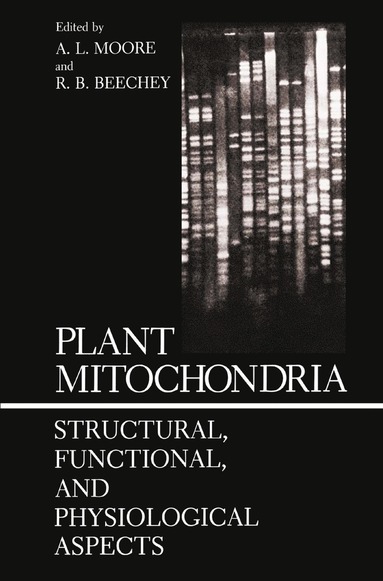 bokomslag Plant Mitochondria