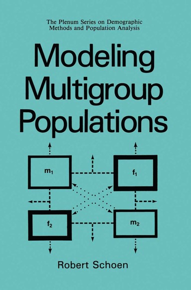 bokomslag Modeling Multigroup Populations