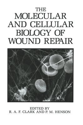 bokomslag The Molecular and Cellular Biology of Wound Repair