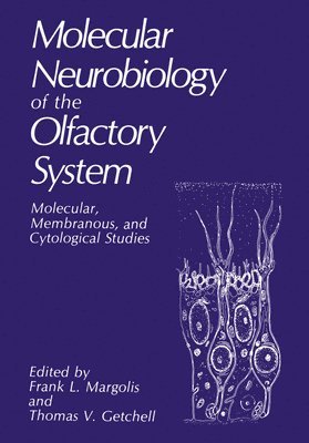 bokomslag Molecular Neurobiology of the Olfactory System: Molecular, Membranous, and Cytological Studies