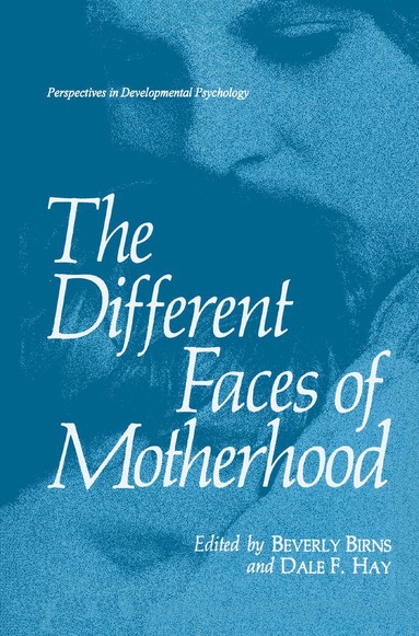 bokomslag Different Faces of Motherhood