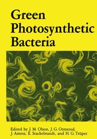 bokomslag Green Photosynthetic Bacteria