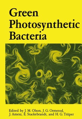 Green Photosynthetic Bacteria 1