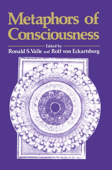 bokomslag Metaphors of Conciousness