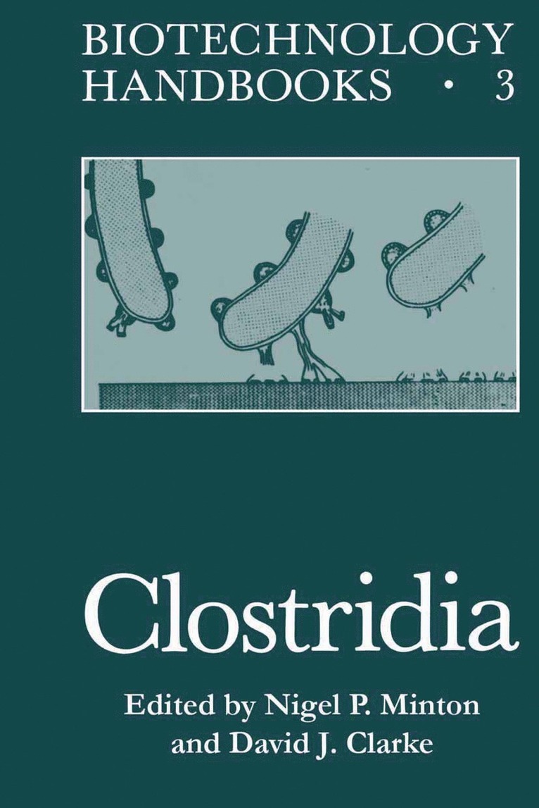 Clostridia 1