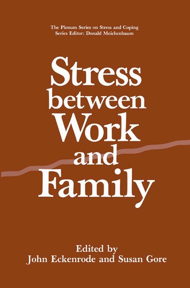 bokomslag Stress Between Work and Family