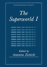 bokomslag The Superworld I