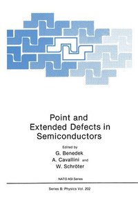 bokomslag Point and Extended Defects in Semiconductors