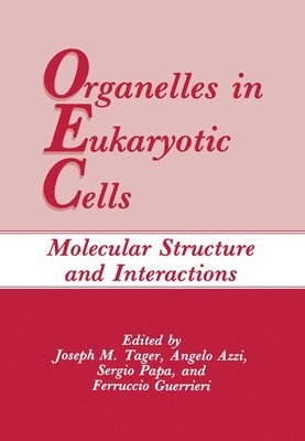 bokomslag Organelles in Eukaryotic Cells: Molecular Structure and Interactions
