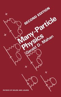 bokomslag Many-Particle Physics