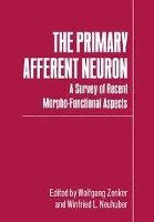 The Primary Afferent Neuron 1